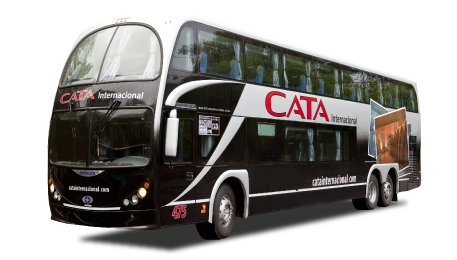 bus cata internacional royal suite